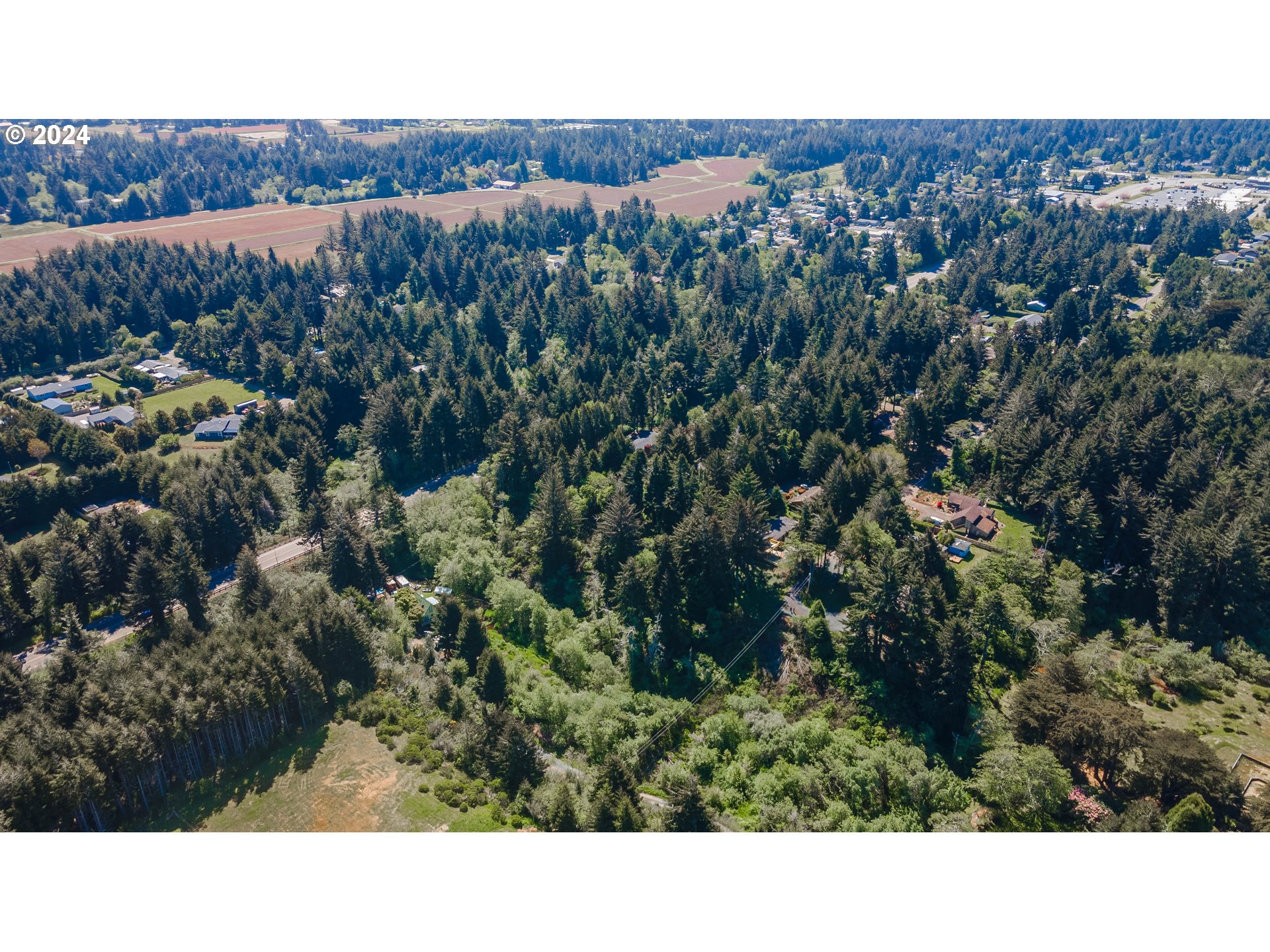 0 Cody Road Bandon, OR 97411 - Photo 10 of 21 Gallery Image 10