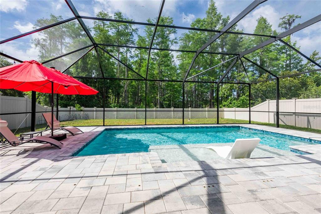 12846 Tikal Way Trinity, FL 34655 - Photo 50 of 54