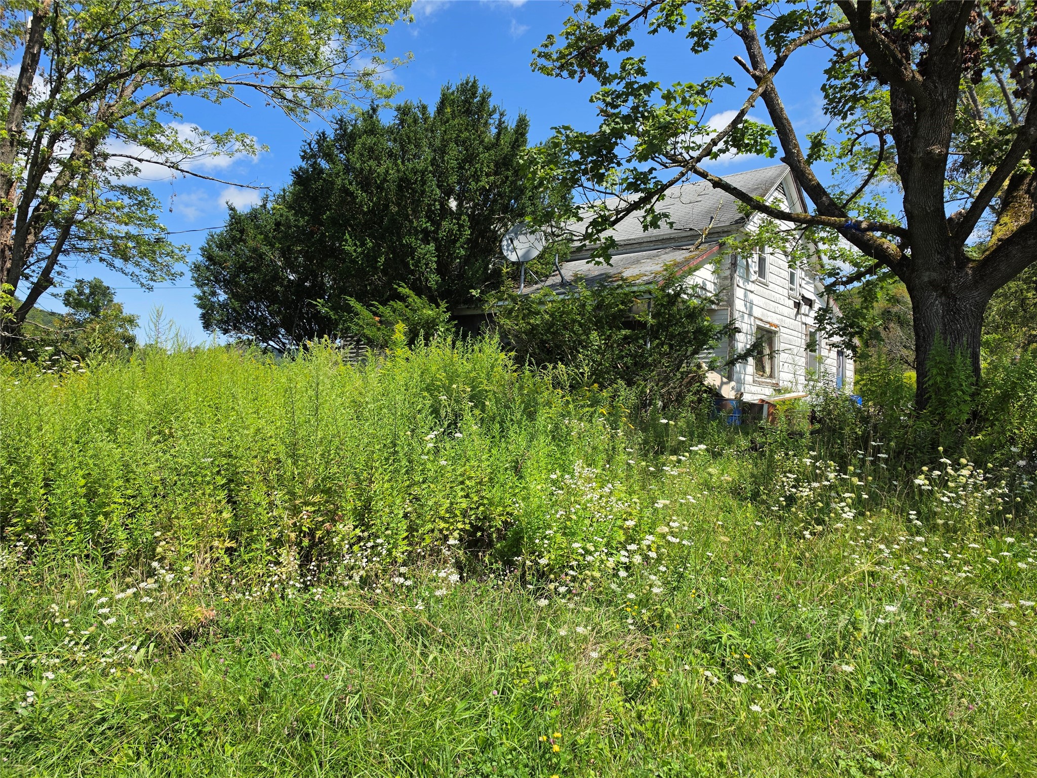 294 Old Plank Road Deposit, NY 13754 - Photo 2 of 15 Gallery Image 2