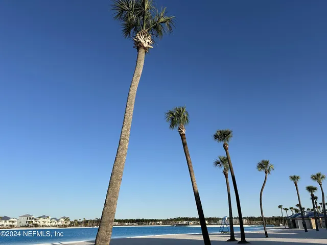 a view of three trees