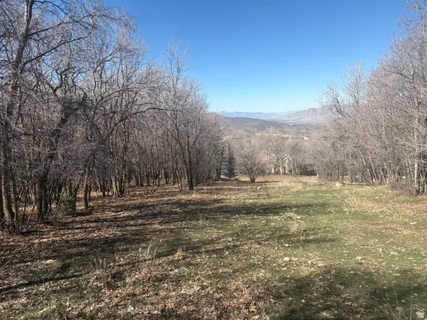 $325,000 | 1040 South Pineview Drive, Unit 9, Woodland Hills, UT 84653