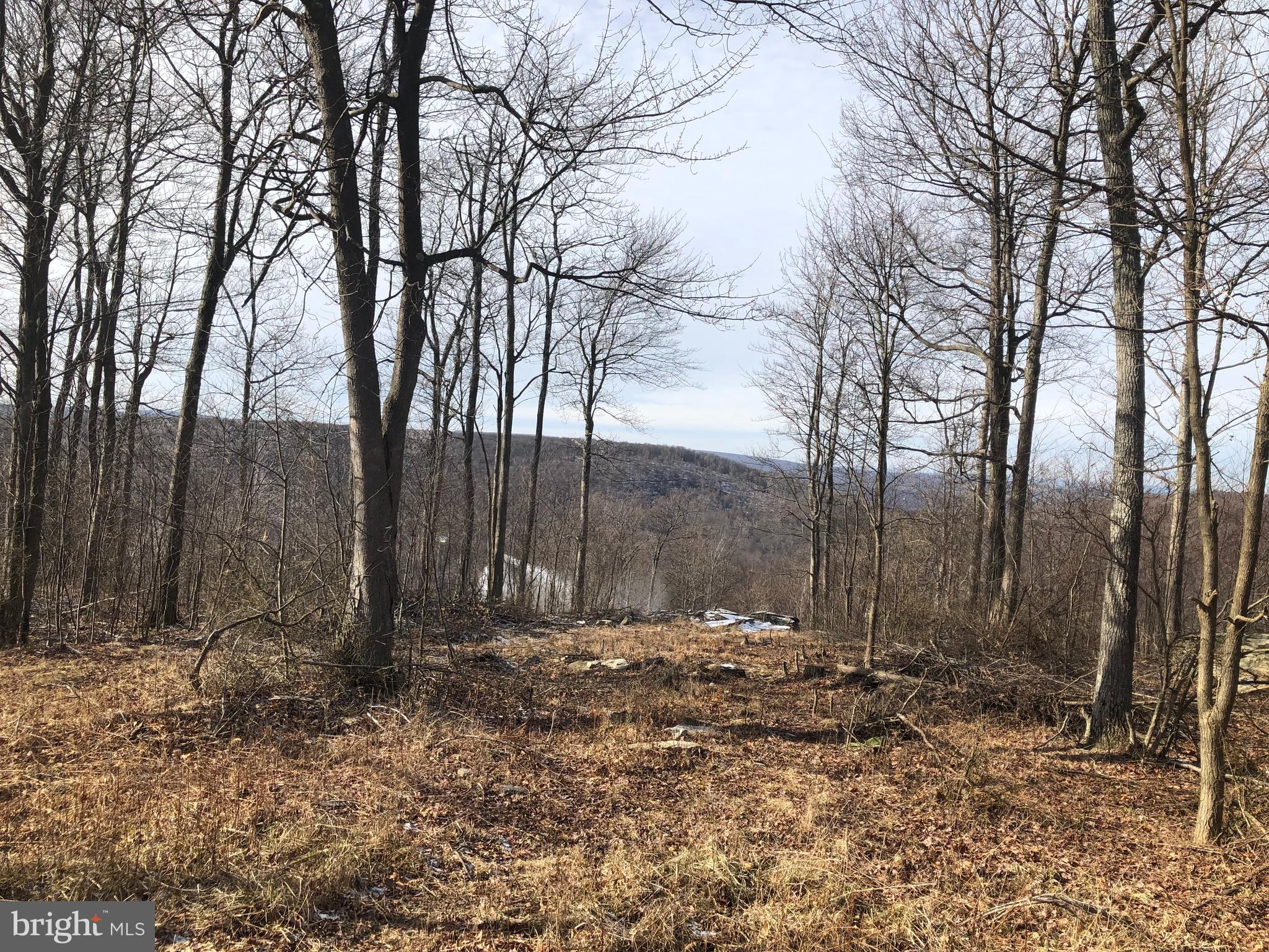 Lot 87 Lower Camp Road McHenry, MD 21541 - Photo 12 of 12