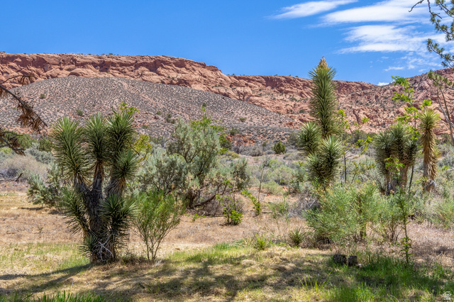 3181 East Bench Road Moab, UT 84532 - Photo 42 of 49