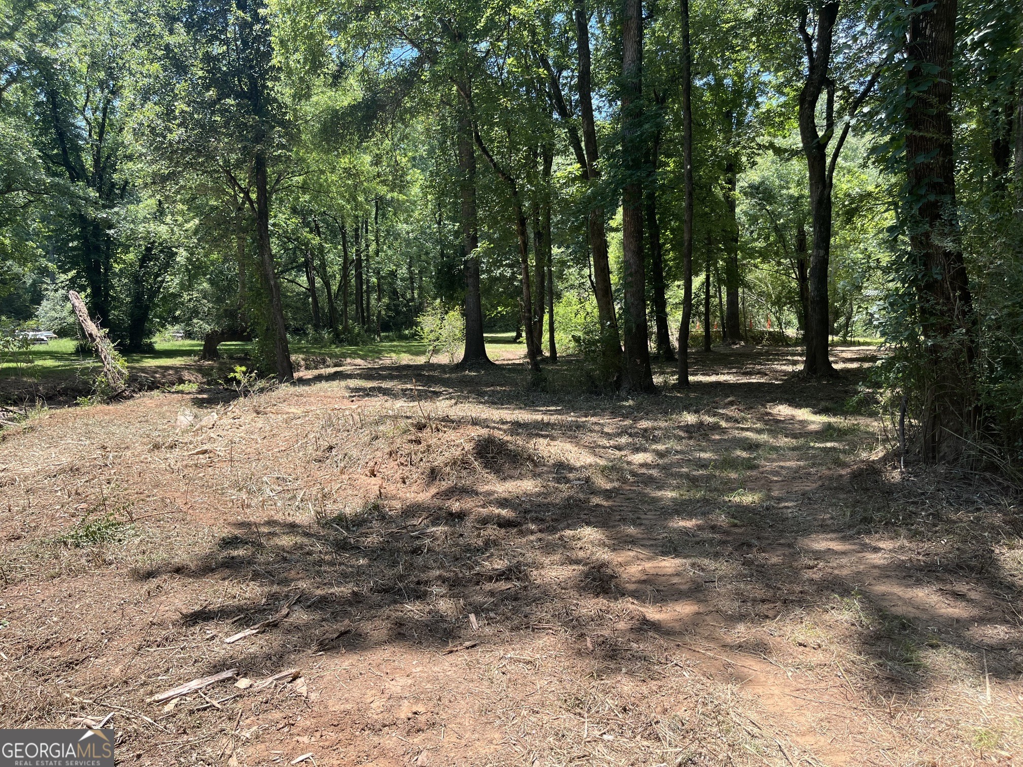 0 Sportsman Club Road Grantville, GA 30220 - Photo 41 of 46 a view of a forest with trees in the background