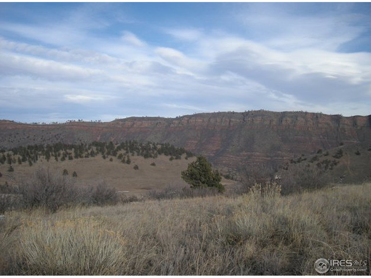 0 Indian Mountain Road Lyons, CO 80540 - Photo 6 of 7