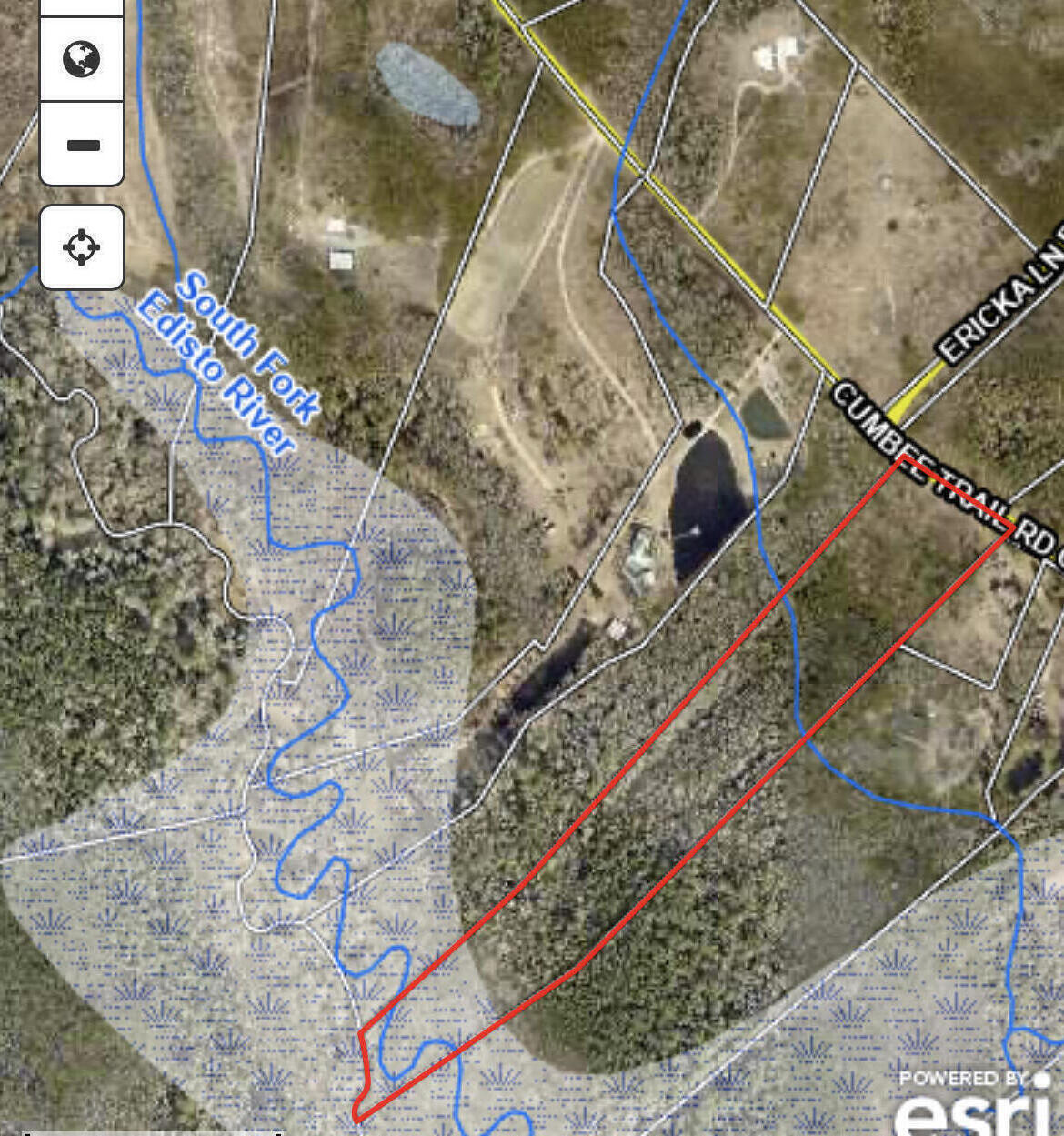 0 Cumbee Trail Road Ridge Spring, SC 29129 - Photo 3 of 5