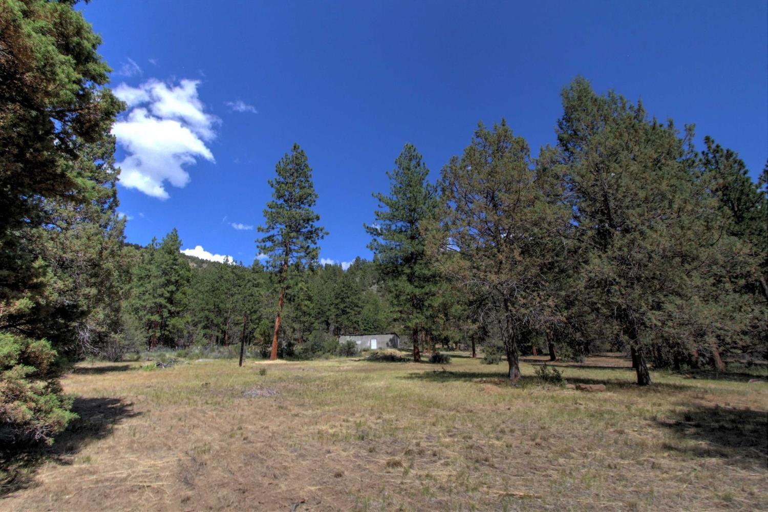 1050 Telephone Flat Road Chiloquin, OR 97624 - Photo 29 of 35 Additional Photo