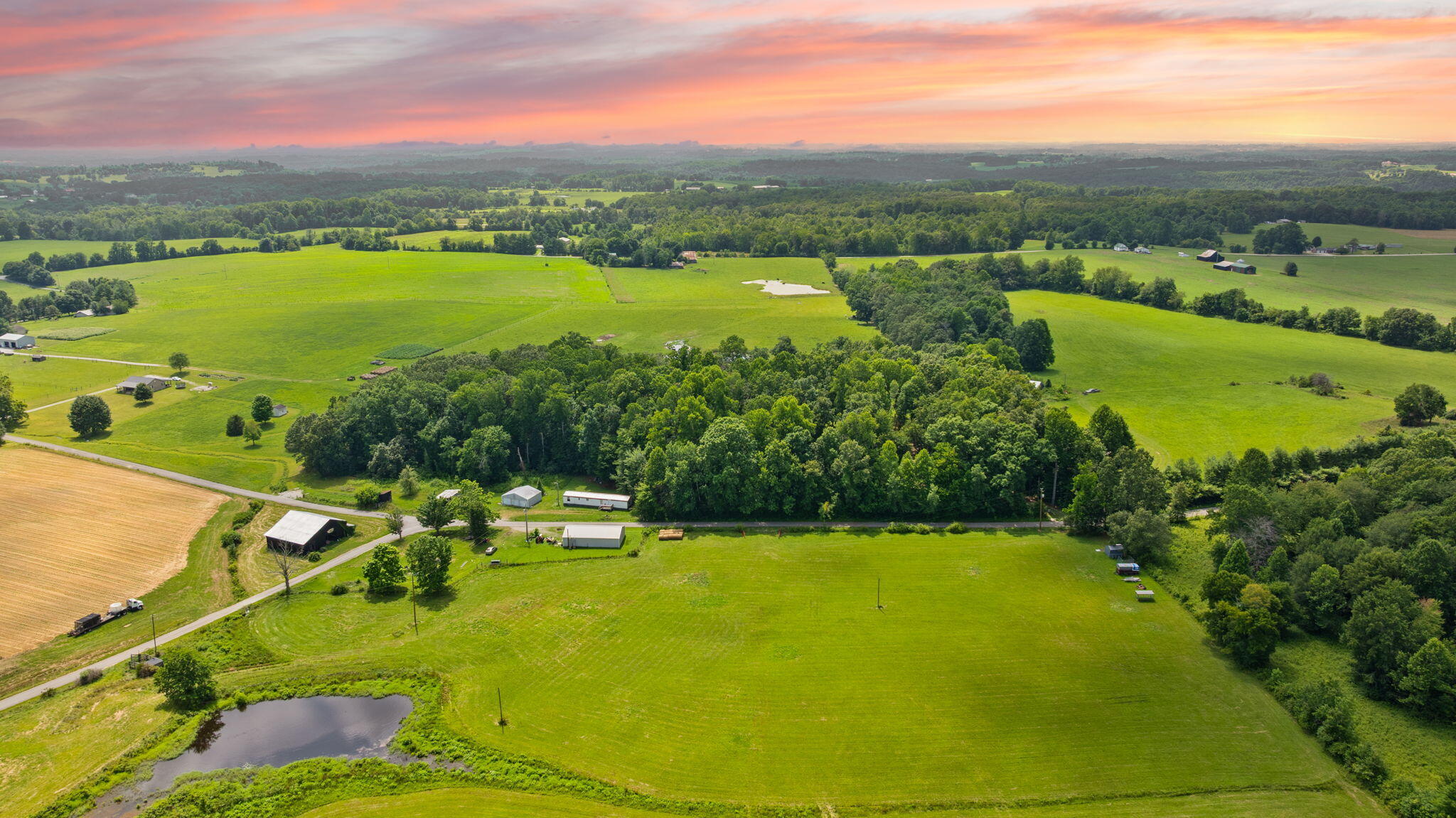 1545 Liberty Road Eubank, KY 42567 - Photo 14 of 54 Pretty land with marketable timber per seller. The trees are beautiful