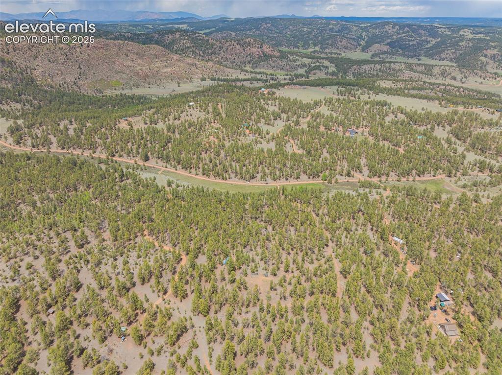 4250 Doe Valley Road Guffey, CO 80820 - Photo 10 of 35