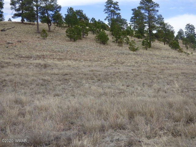 Lot 18 The Ranch Alpine, AZ 85920 - Photo 2 of 24