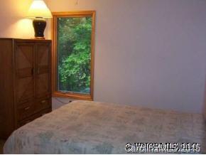 750 Flynn Branch Road Fletcher, NC 28732 - Photo 9 of 12 Gallery Image 9