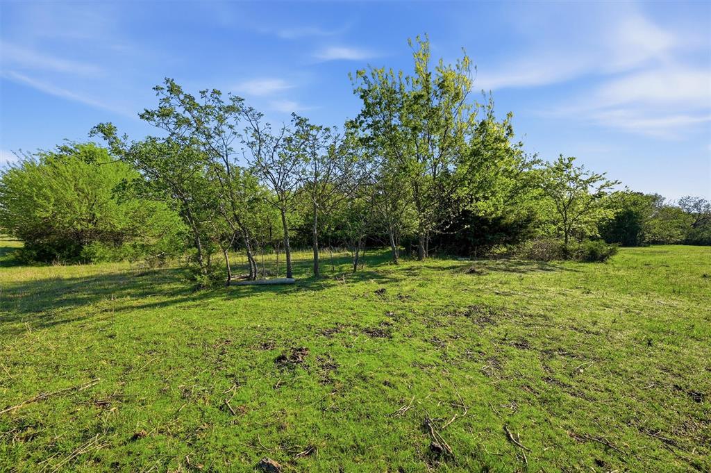 10.5 Dexter Road Whitesboro, TX 76273 - Photo 8 of 16