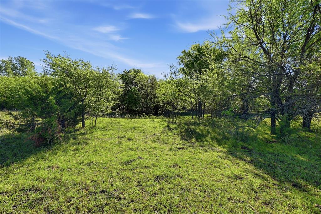 10.5 Dexter Road Whitesboro, TX 76273 - Photo 10 of 16