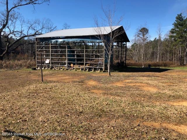 3791 Bird Farm Road Jasper, AL 35503 - Photo 6 of 7 Gallery Image 6