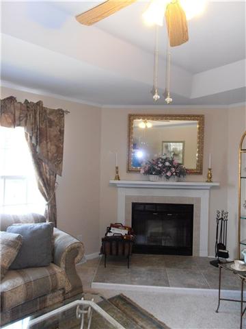 7443 Chowning Road Springfield, TN 37172 - Photo 6 of 15 Fireplace