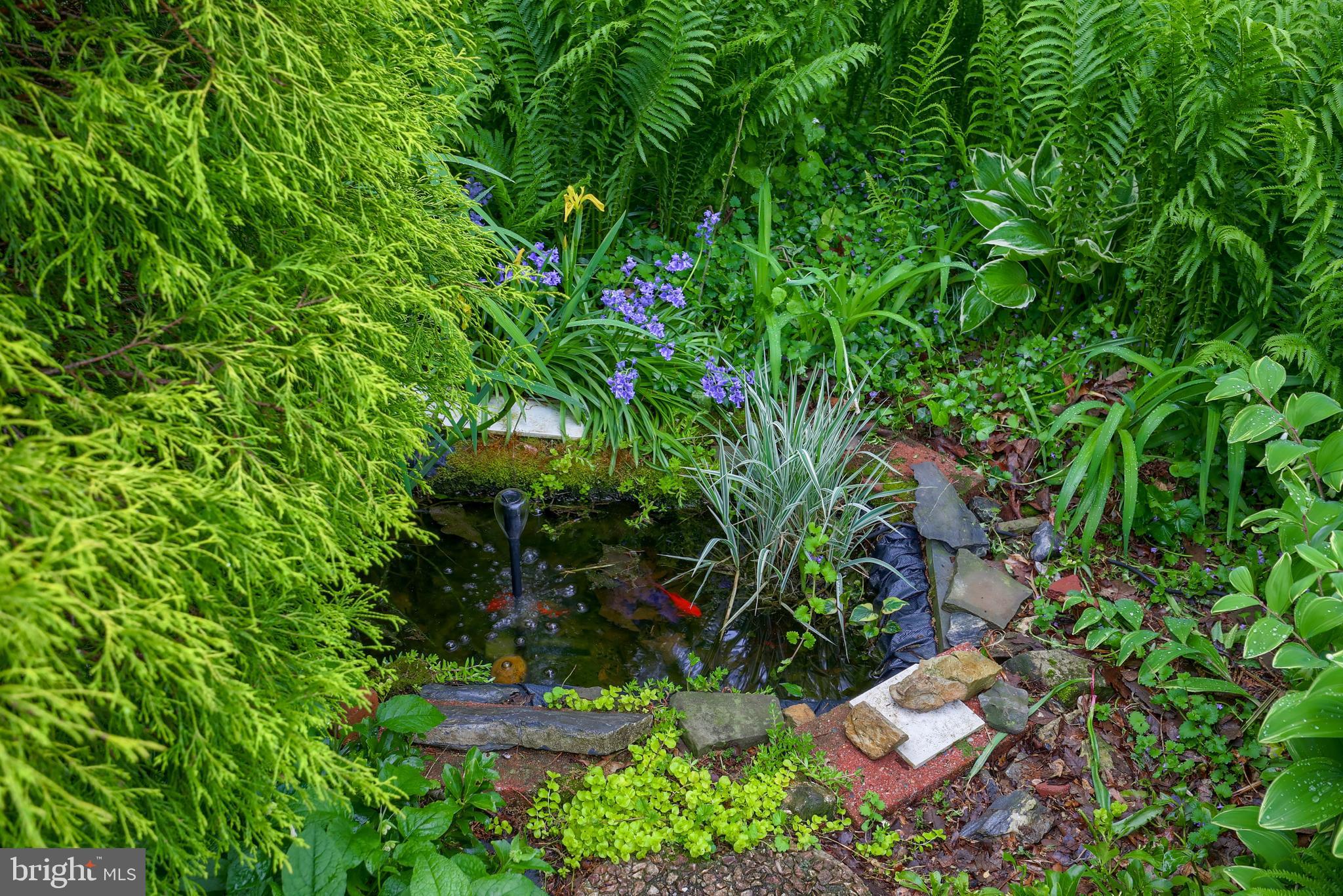 531 Pleasure Road Lancaster, PA 17601 - Photo 33 of 46 Pond