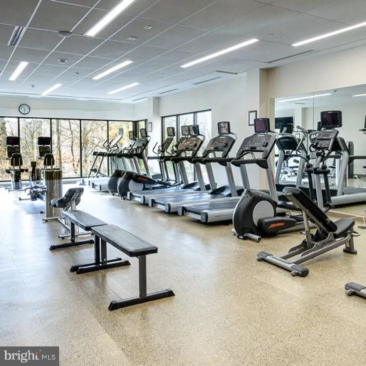 5901 Mt Eagle Drive, Unit 1009 Alexandria, VA 22303 - Photo 13 of 17 a view of a room with gym equipment