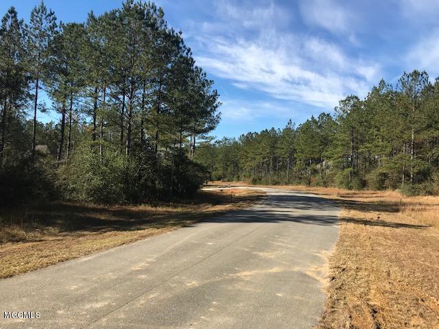 3125 Eagle Road Vancleave, MS 39565 - Photo 26 of 27 IMG_9979