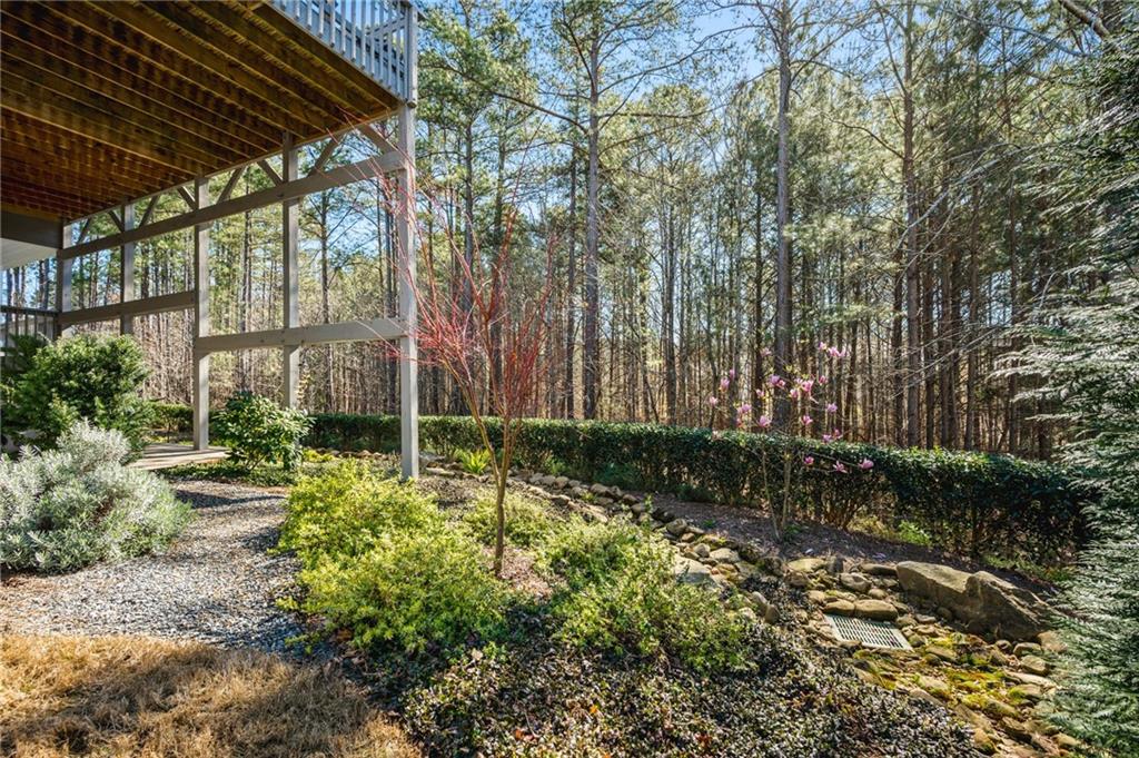 91 Bellwind Lane Dallas, GA 30132 - Photo 40 of 44 a view of a backyard with plants