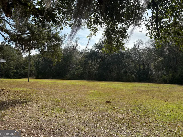 a view of a yard with trees
