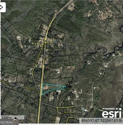 a front view of house with yard and trees