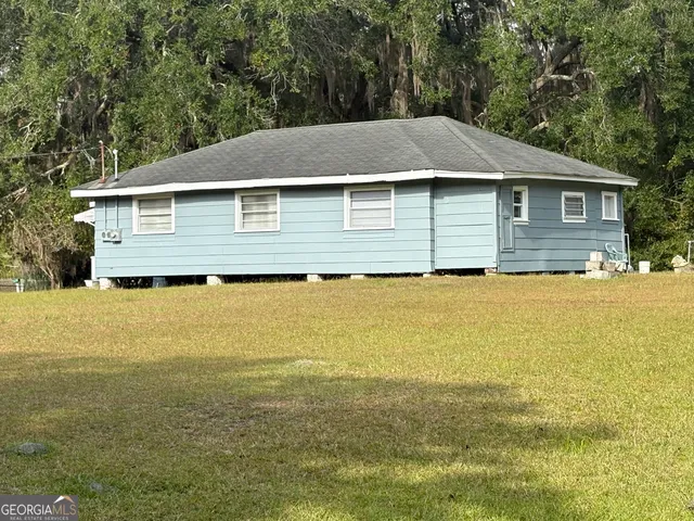 a view of a forest with lots of trees