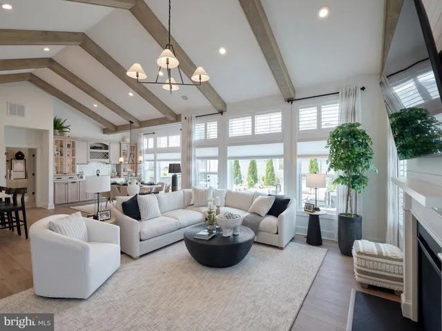 a living room with furniture potted plant and a large window