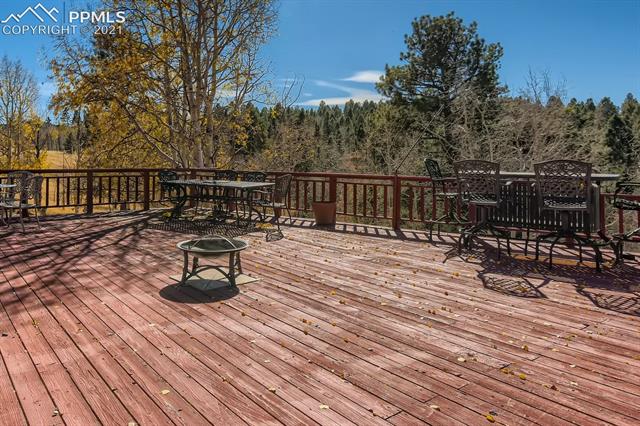 307 Berylium Road Florissant, CO 80816 - Photo 27 of 27