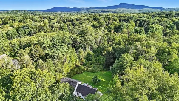 a view of a lush green forest with a house