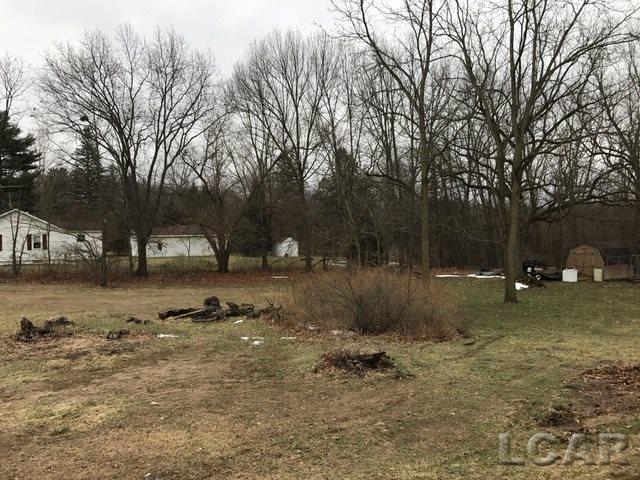 1501 Sutton Road Adrian, MI 49221 - Photo 34 of 37 31312939-33.JPG