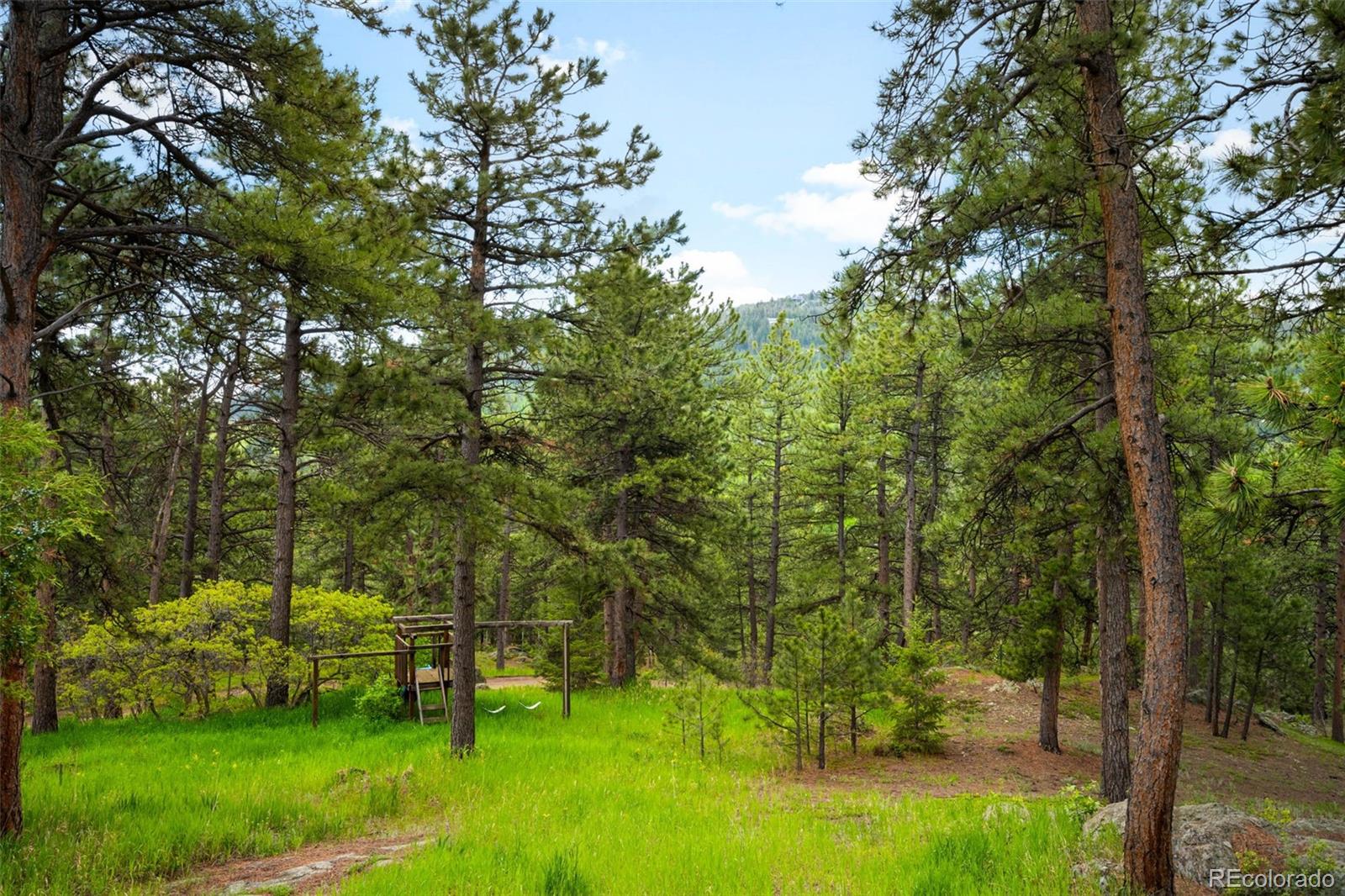 9633 Fox Valley Drive Morrison, CO 80465 - Photo 33 of 50 a view of a yard with a tree