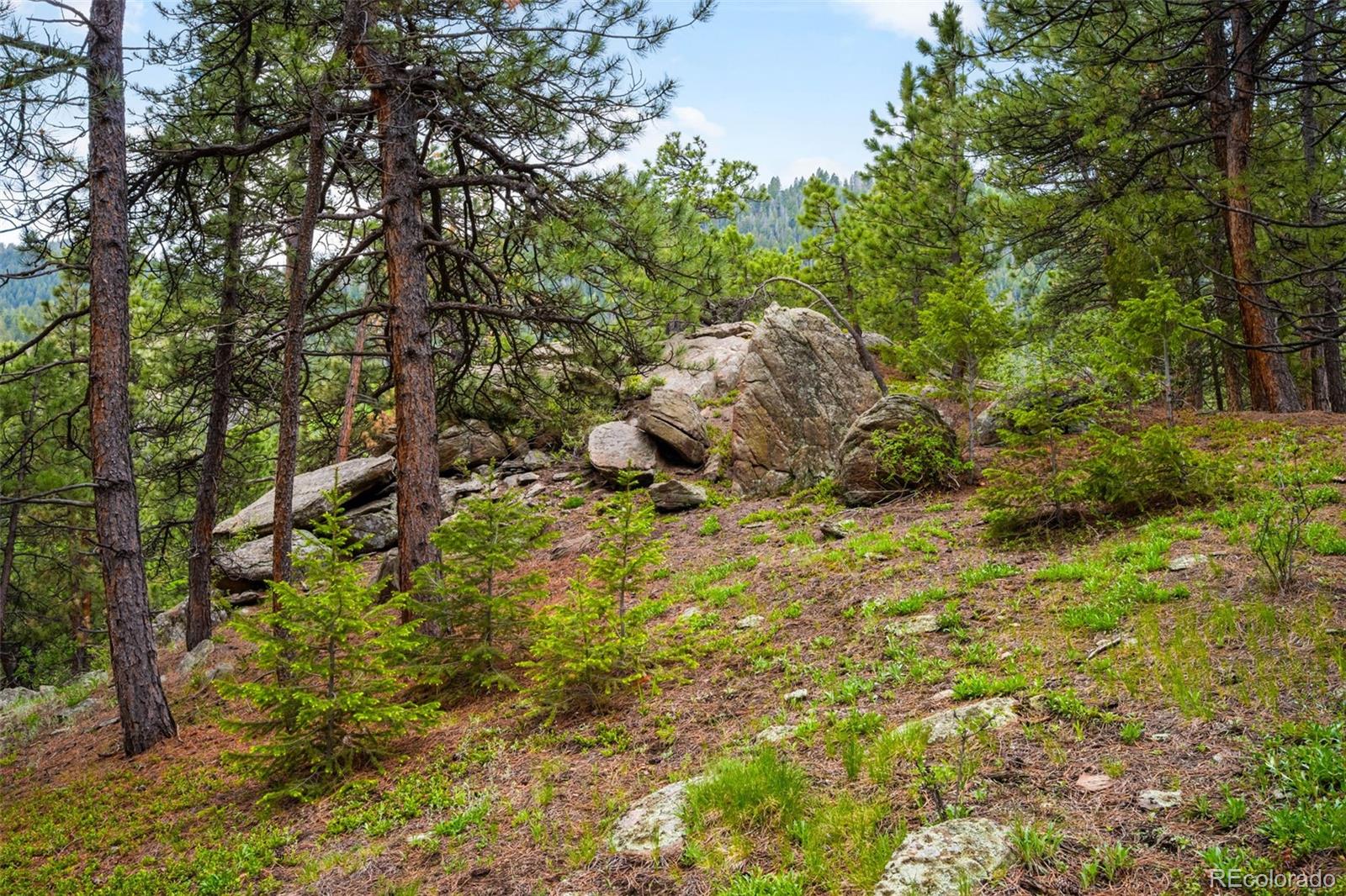 9633 Fox Valley Drive Morrison, CO 80465 - Photo 36 of 50 a backyard of a house with lots of green space