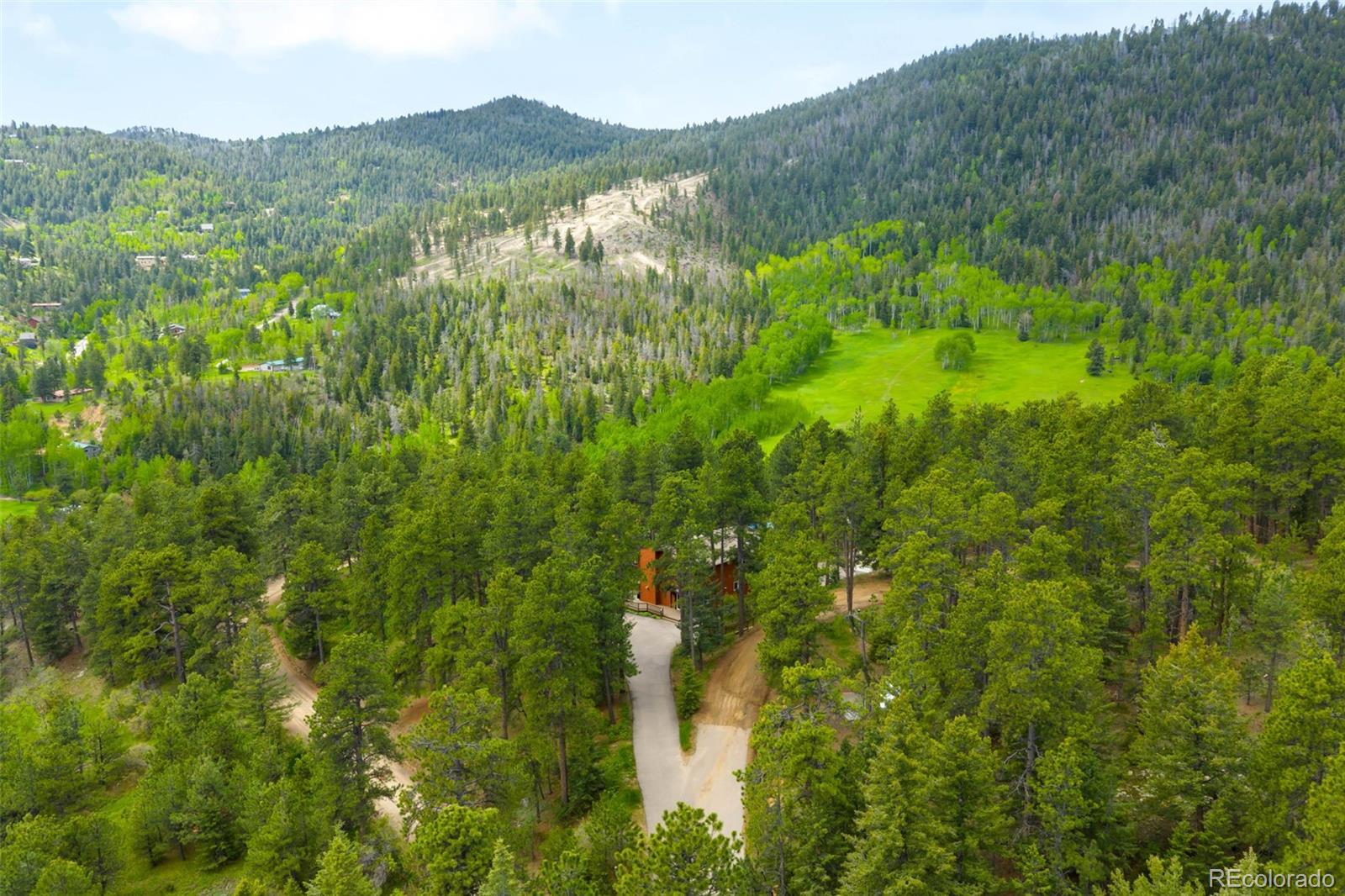 9633 Fox Valley Drive Morrison, CO 80465 - Photo 42 of 50 a view of a lush green forest with trees in the background