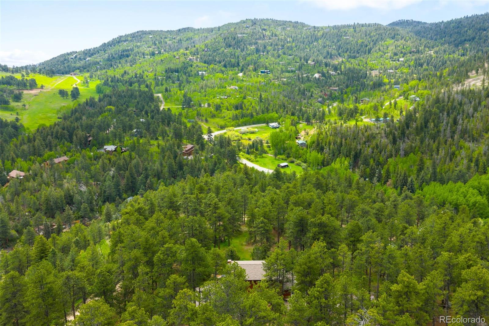 9633 Fox Valley Drive Morrison, CO 80465 - Photo 43 of 50 a view of a lush green forest with trees and some houses