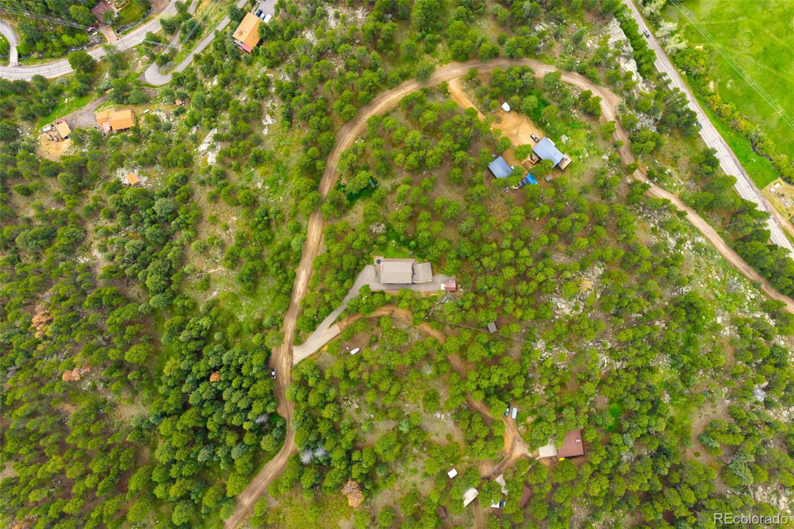 9633 Fox Valley Drive Morrison, CO 80465 - Photo 46 of 50 a close up of a tree