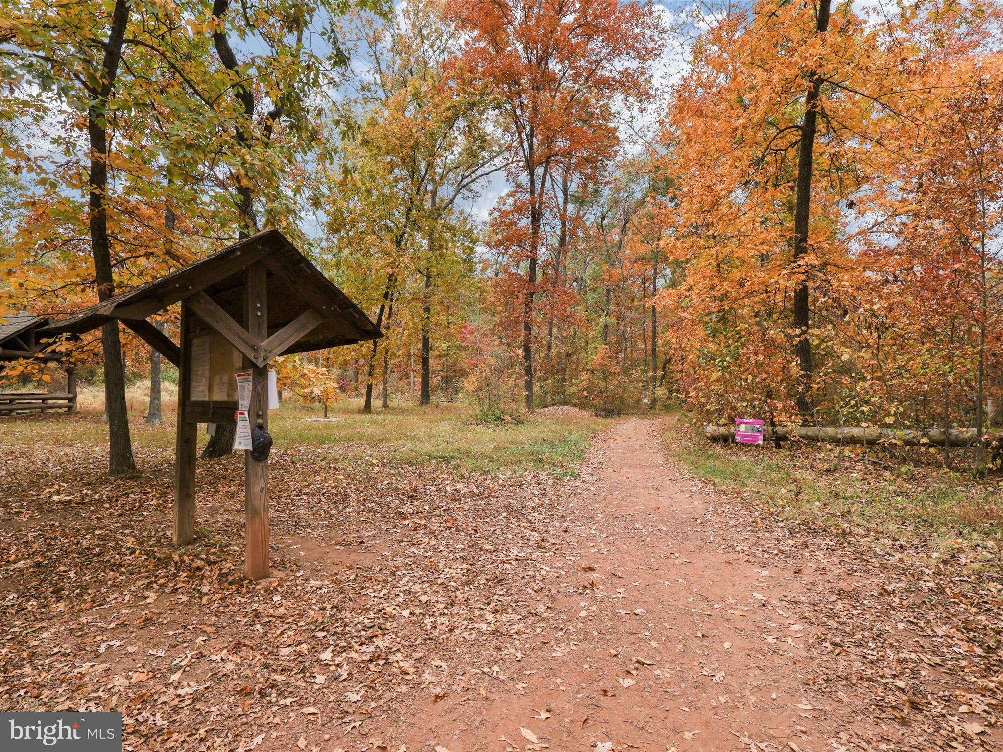 14592 Kylewood Way Gainesville, VA 20155 - Photo 48 of 60 a backyard of a house with lots of green space