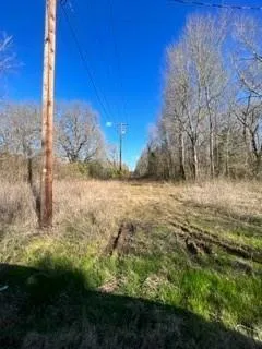 a view of a yard with trees
