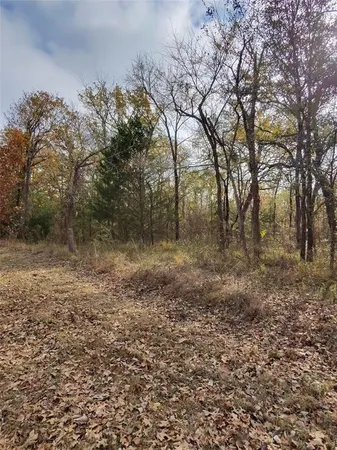 $35,500 | Tbd/ Lot 446-451 Tbd/ Drive, Eustace, TX 75124