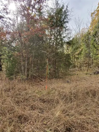 $35,500 | Tbd/ Lot 446-451 Tbd/ Drive, Eustace, TX 75124