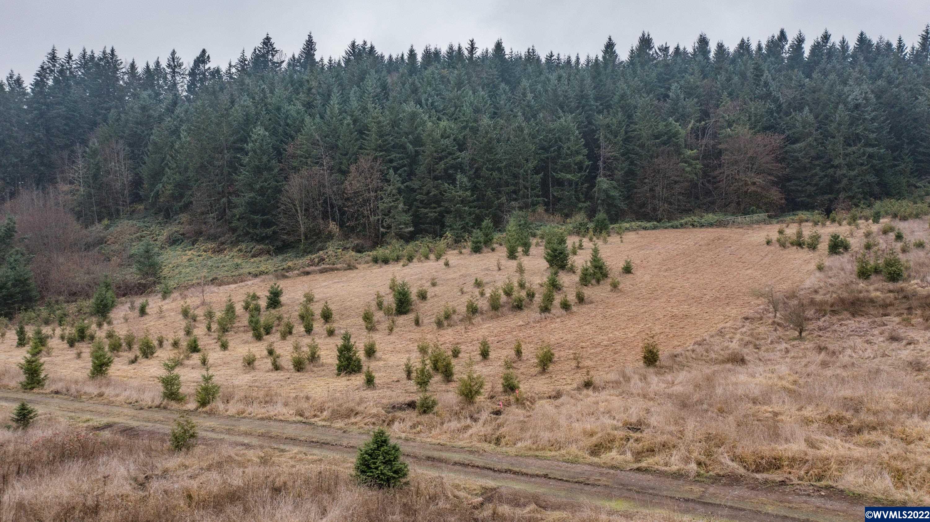 38613 Hungry Hill Road Scio, OR 97374 - Photo 4 of 16