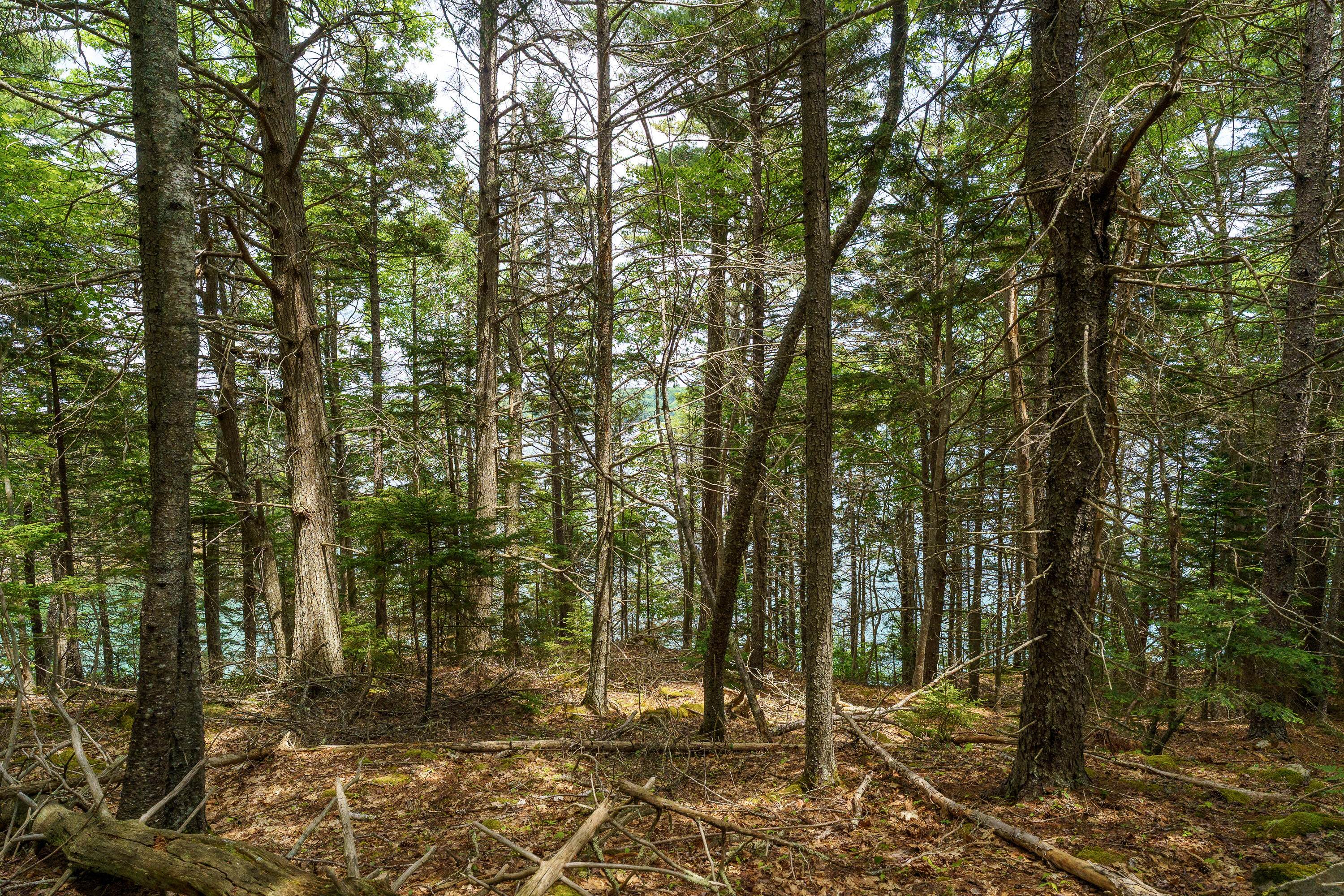 205 Steves Road Boothbay, ME 04537 - Photo 12 of 17 205 Steves Rd. Boothbay-24