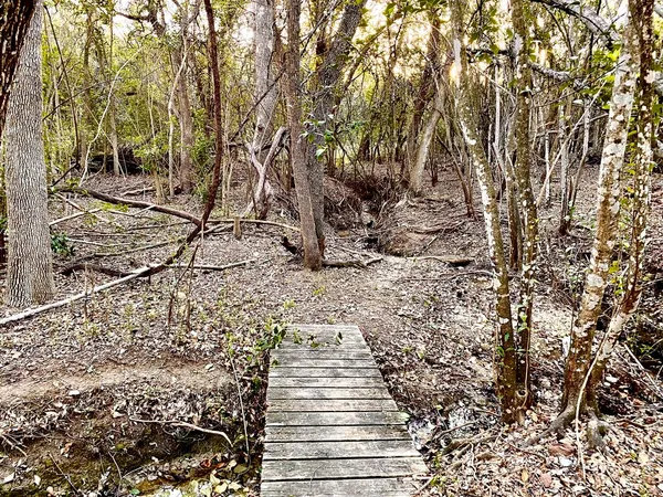 $3,500 | 4600 Rivka Cove, Austin, TX 78741