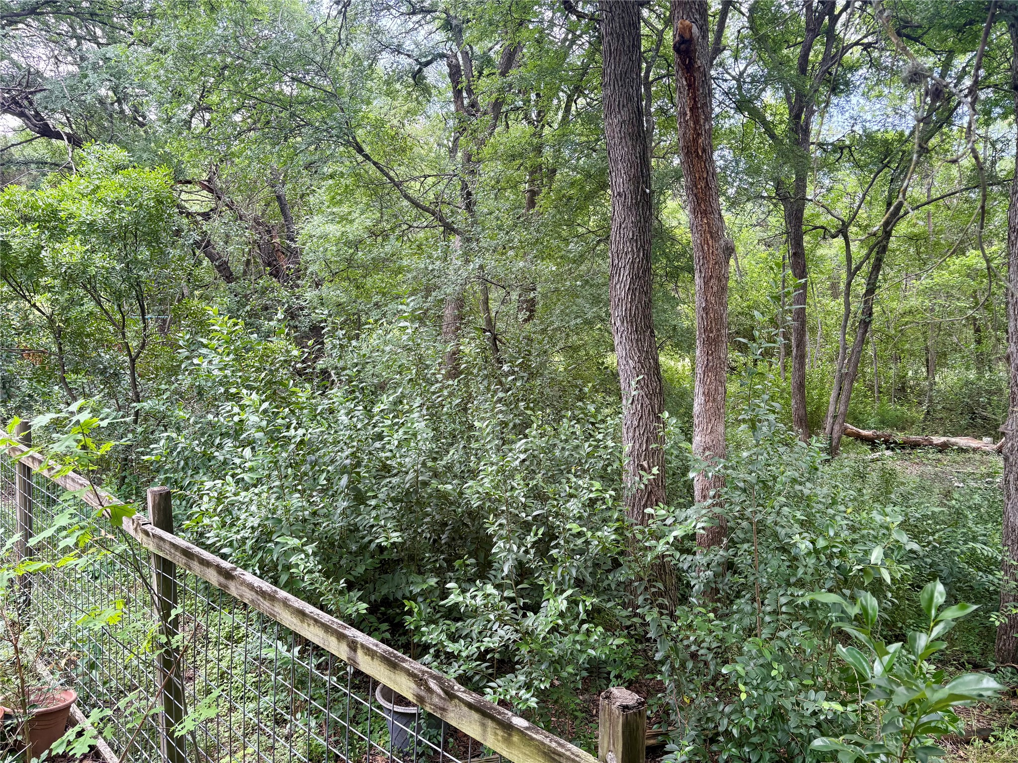 4600 Rivka Cove Austin, TX 78741 - Photo 30 of 31