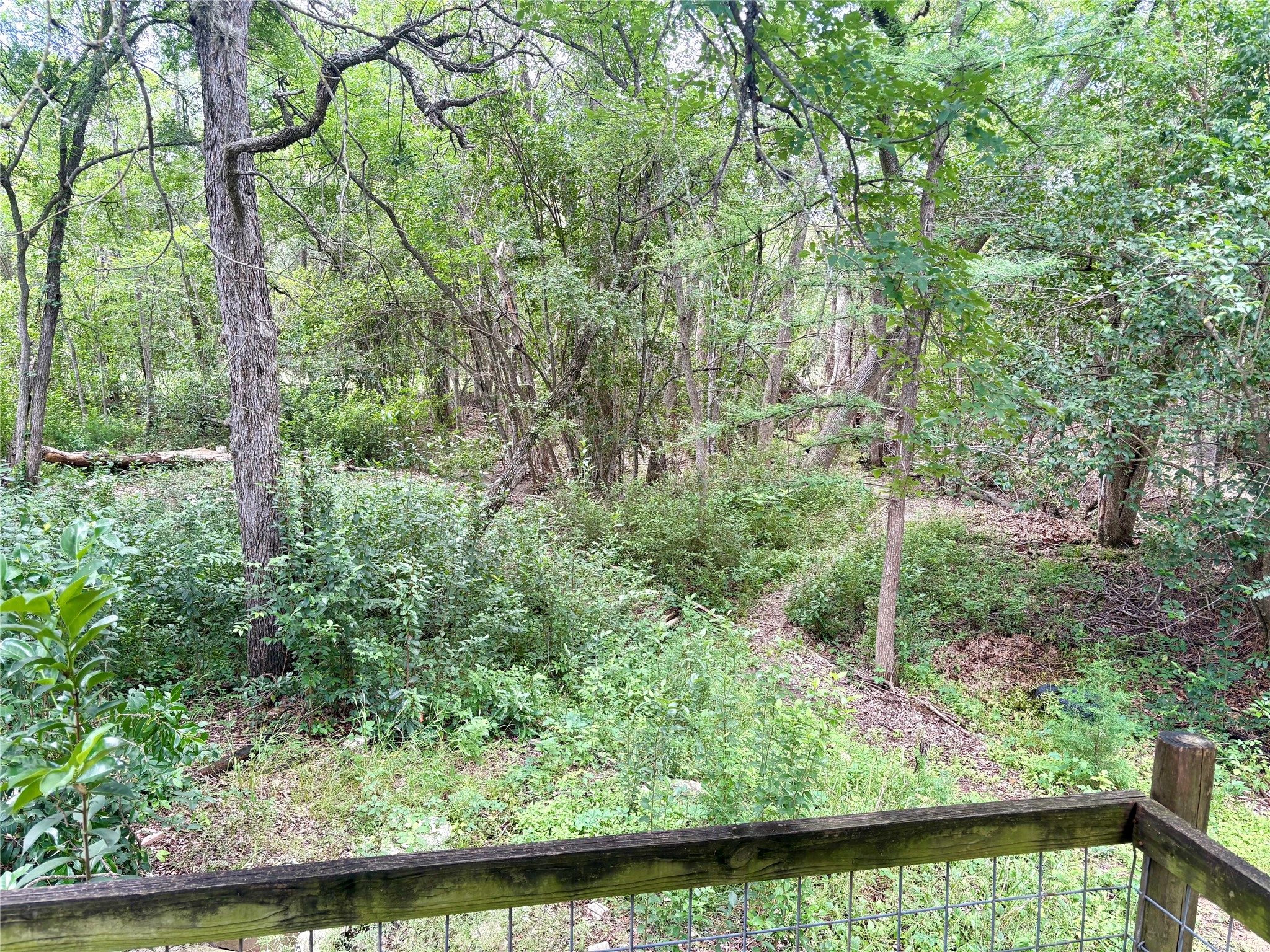 4600 Rivka Cove Austin, TX 78741 - Photo 4 of 31