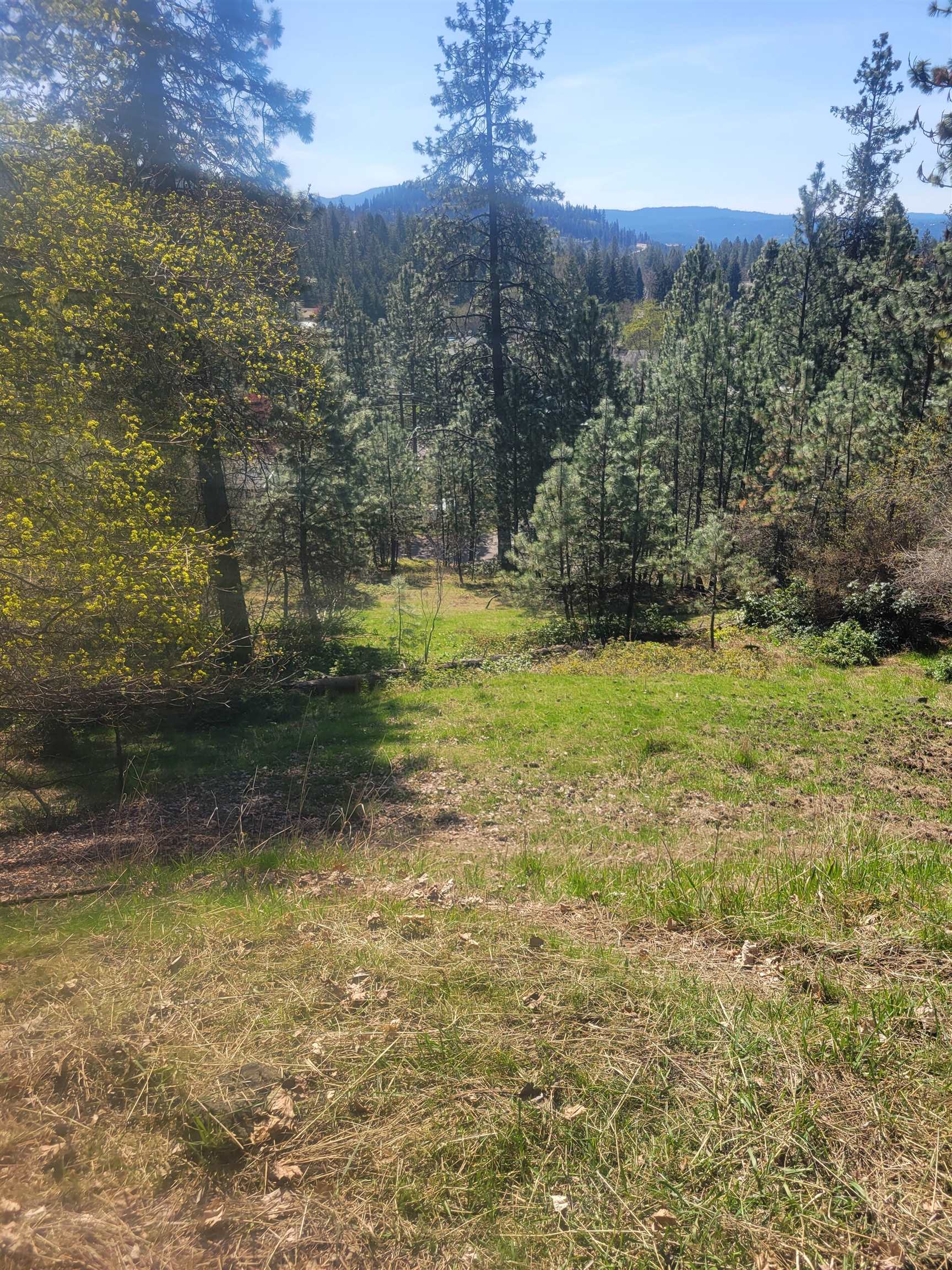 2190 East Stanley Hill Road Coeur D'Alene, ID 83814 - Photo 12 of 17