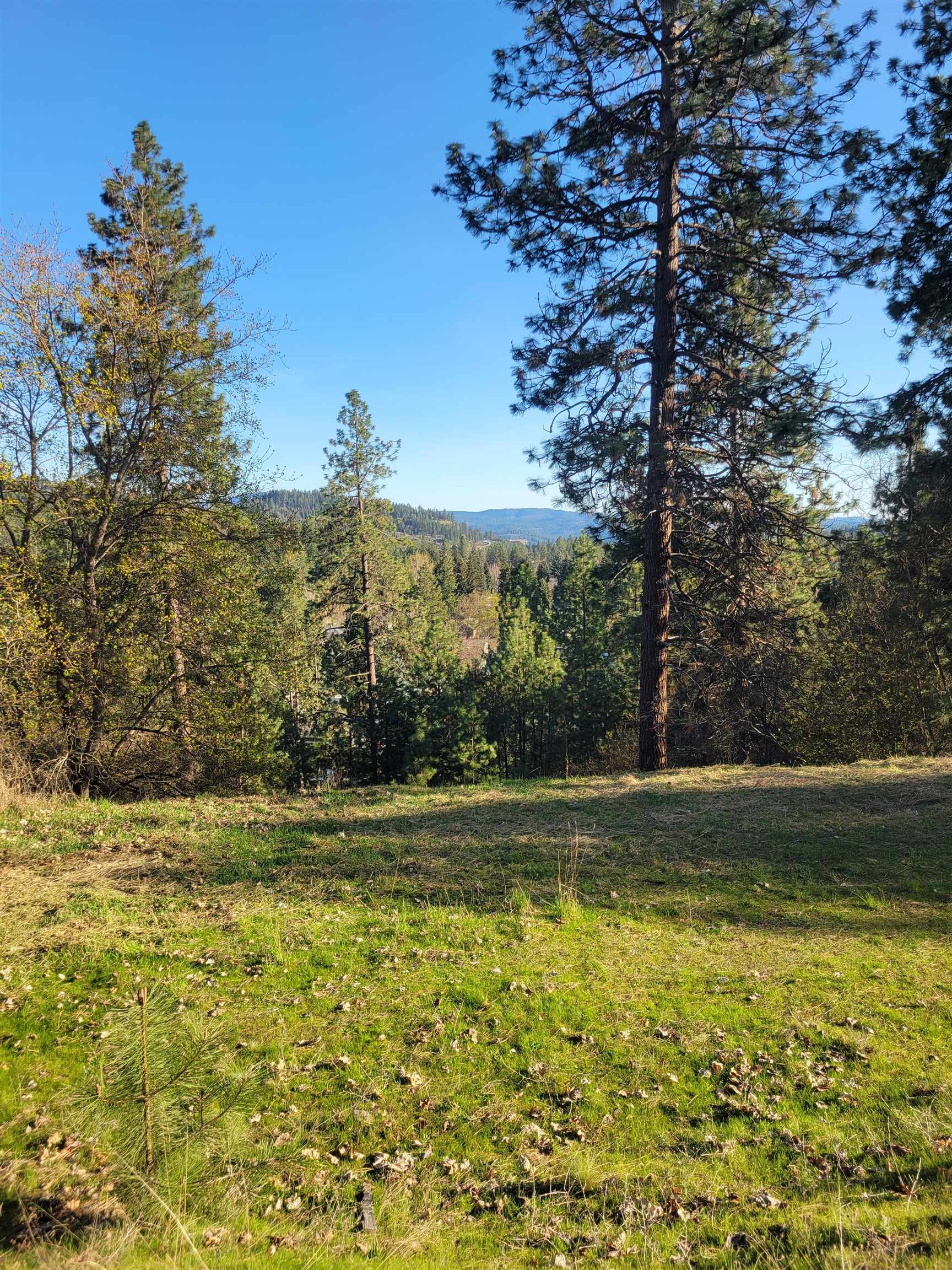 2190 East Stanley Hill Road Coeur D'Alene, ID 83814 - Photo 3 of 17