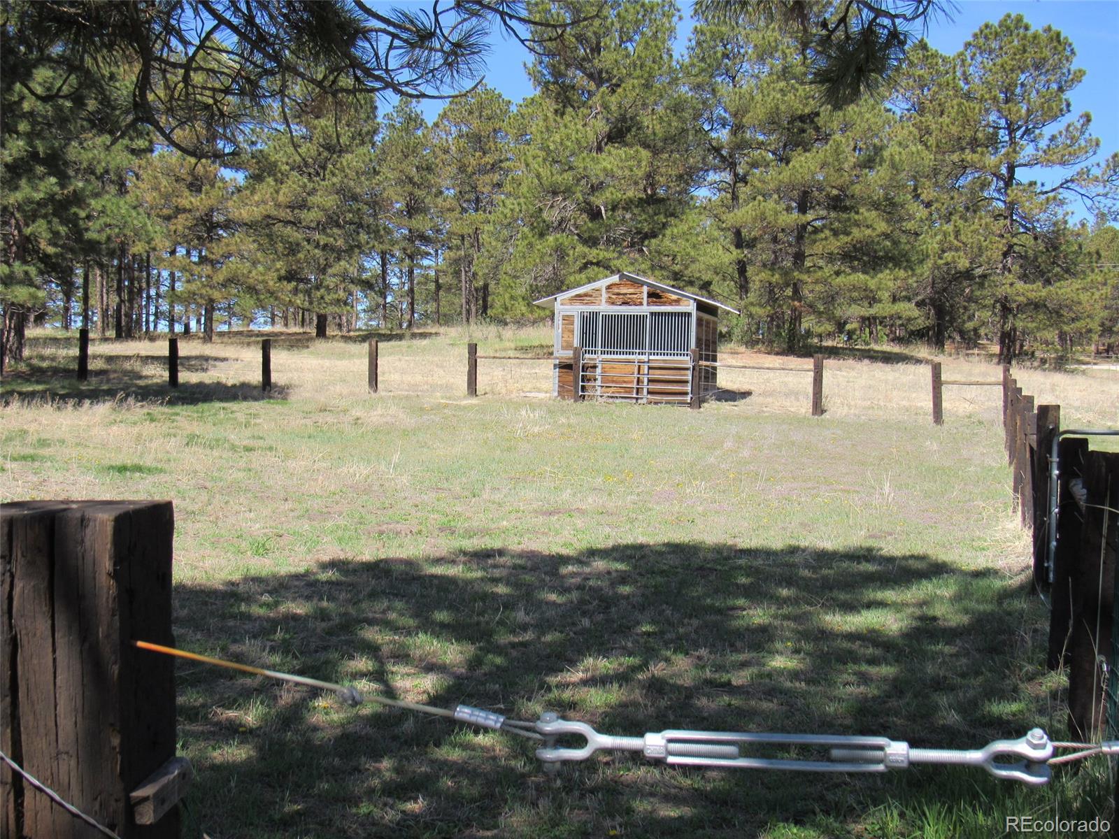 18860 North Elbert Road Elbert, CO 80106 - Photo 11 of 35