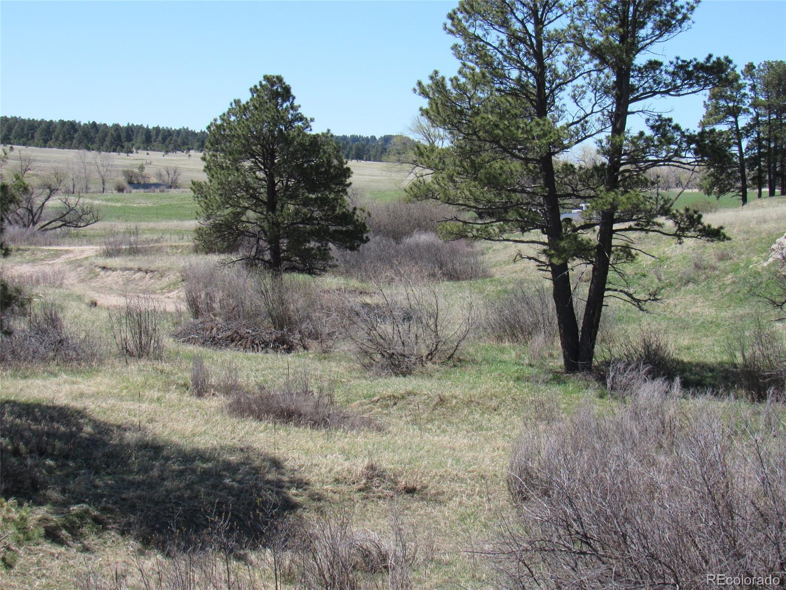 18860 North Elbert Road Elbert, CO 80106 - Photo 14 of 35