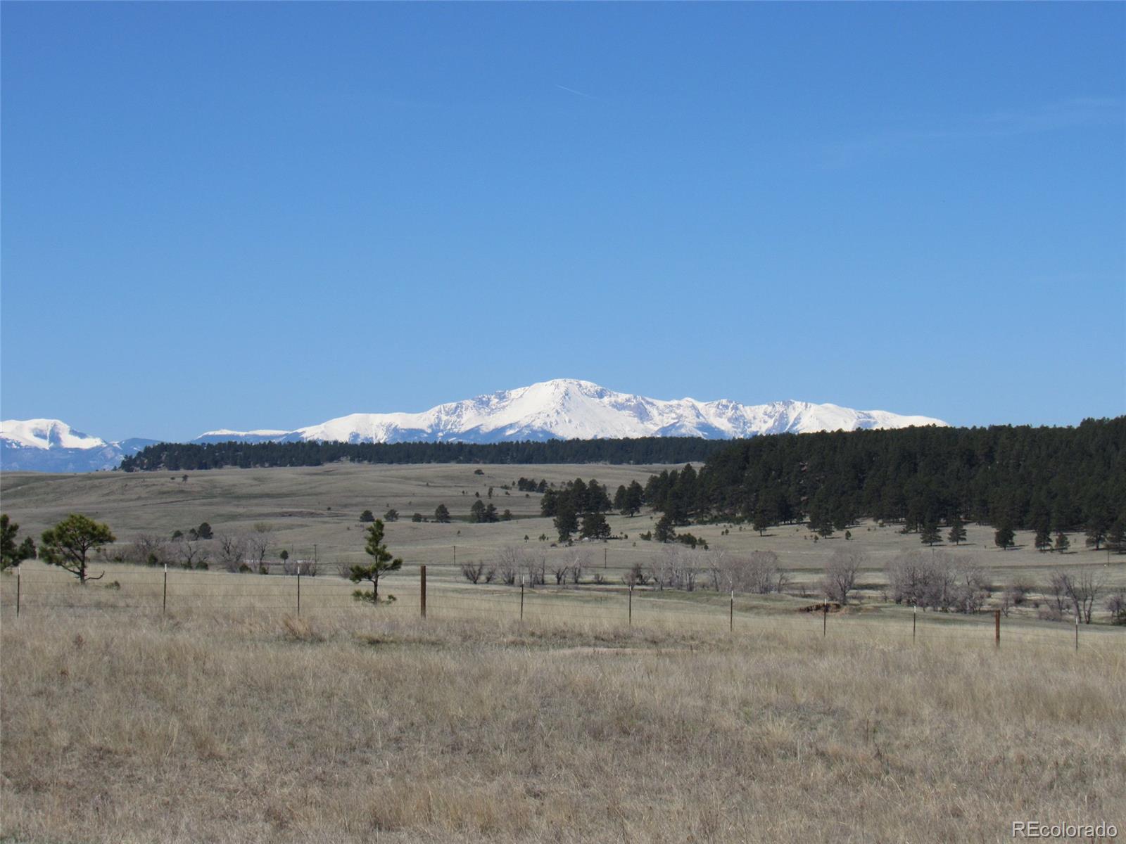 18860 North Elbert Road Elbert, CO 80106 - Photo 5 of 35