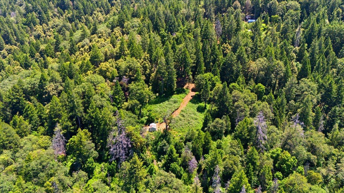 19643 Sages Road Nevada City, CA 95959 - Photo 29 of 39